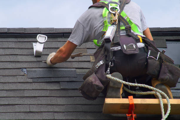Best Roof Gutter Cleaning  in Haledon, NJ
