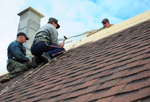 Best Gutter Installation and Roofing  in Haledon, NJ