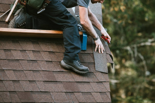 Roof Gutter Cleaning in Haledon, NJ